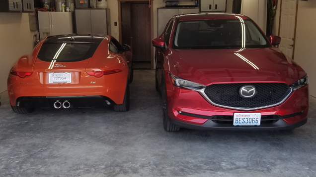 Size comparison and butt shot